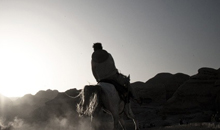 自动攻击网站工具下载